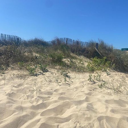 Vue Sur Dunes ! Sangatte Dış mekan fotoğraf