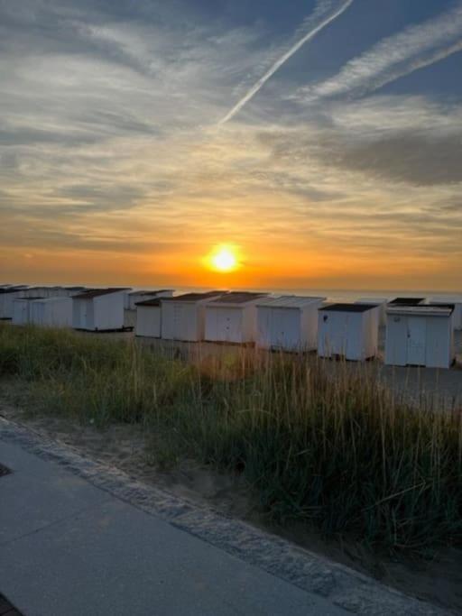 Vue Sur Dunes ! Sangatte Dış mekan fotoğraf