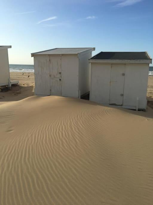 Vue Sur Dunes ! Sangatte Dış mekan fotoğraf