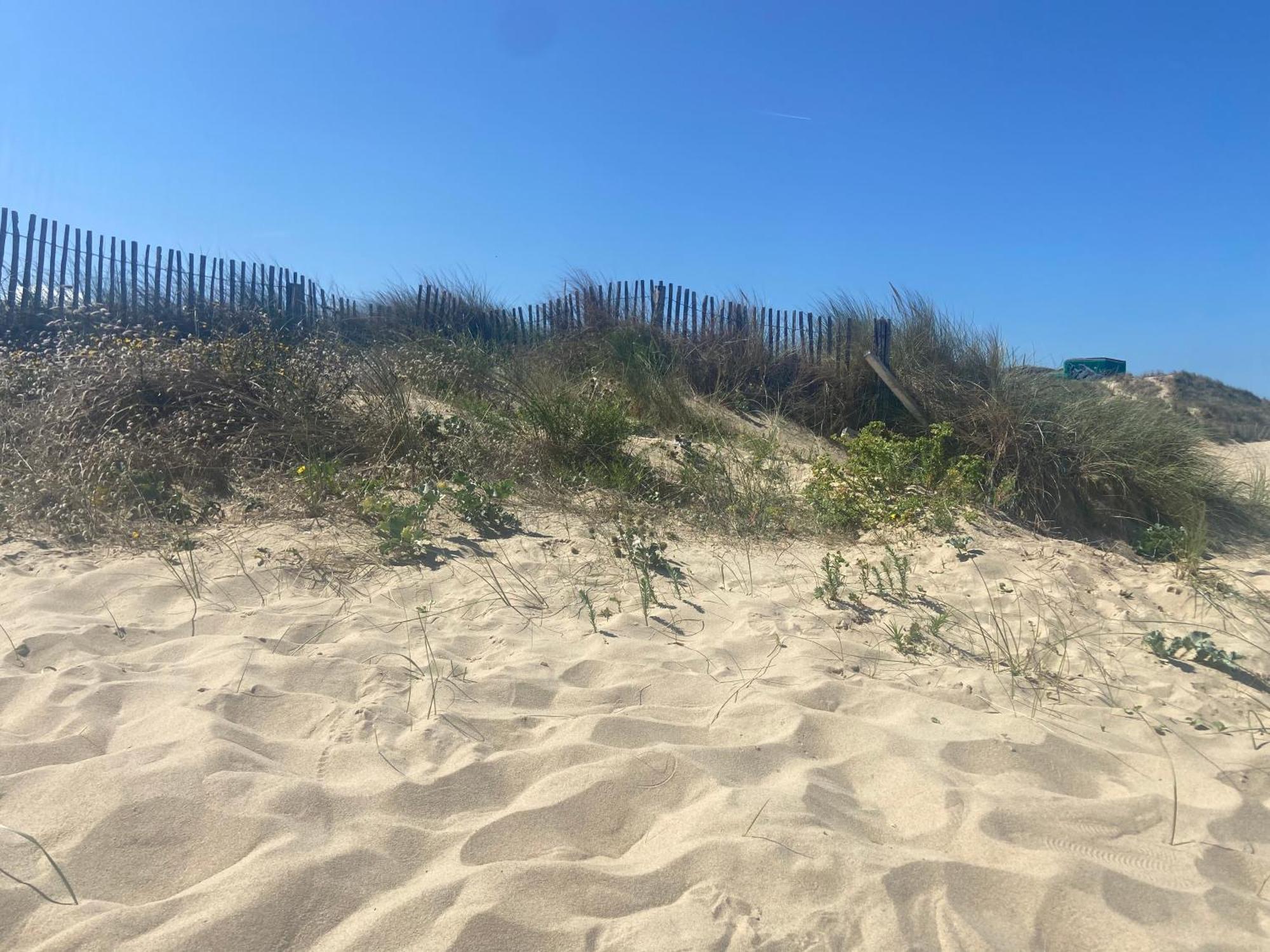 Vue Sur Dunes ! Sangatte Dış mekan fotoğraf
